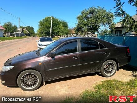 Тойота Камрі 2004 у Бобринце на Automoto.ua Коричневий Тойота Камрі, об'ємом двигуна 3 л та пробігом 380000 тис. км за 5500 $, фото 1 на Automoto.ua