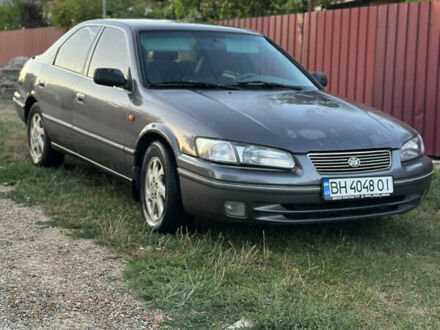 Тойота Камри 1997 в Новоукраинке на Automoto.ua Серый Тойота Камри, объемом двигателя 3 л и пробегом 330 тыс. км за 2200 $, фото 1 на Automoto.ua