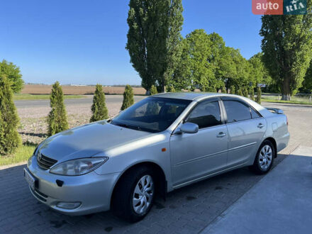 Тойота Камри 2003 в Борисполе на Automoto.ua Серый Тойота Камри, объемом двигателя 3 л и пробегом 217 тыс. км за 5700 $, фото 1 на Automoto.ua