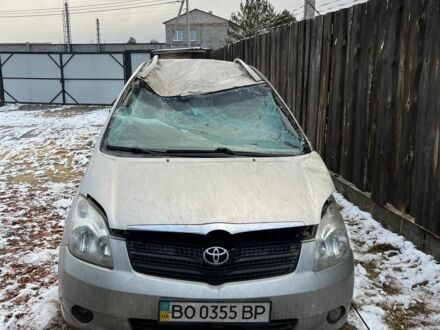 Тойота Королла Версо 2003 у Славуте на Automoto.ua Сірий Тойота Королла Версо, об'ємом двигуна 1.6 л та пробігом 350 тис. км за 1399 $, фото 1 на Automoto.ua