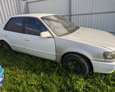 Белый Тойота Королла, объемом двигателя 1.5 л и пробегом 150 тыс. км за 2000 $, фото 1 на Automoto.ua