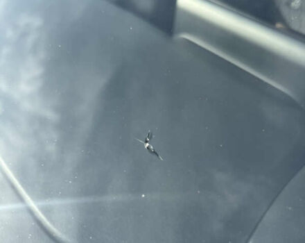 Білий Тойота Королла, об'ємом двигуна 1.6 л та пробігом 43 тис. км за 17000 $, фото 14 на Automoto.ua