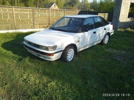 Тойота Королла 1987 в Вышгороде на Automoto.ua Белый Тойота Королла, объемом двигателя 1.6 л и пробегом 340 тыс. км за 716 $, фото 1 на Automoto.ua