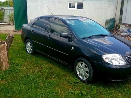 Тойота Королла 2003 у Одесі на Automoto.ua Чорний Тойота Королла, об'ємом двигуна 1.6 л та пробігом 0 тис. км за 3500 $, фото 1 на Automoto.ua