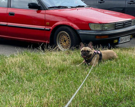 Красный Тойота Королла, объемом двигателя 1.3 л и пробегом 229 тыс. км за 2350 $, фото 8 на Automoto.ua