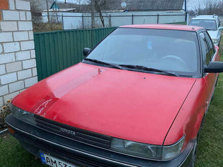 Красный Тойота Королла, объемом двигателя 1.6 л и пробегом 340 тыс. км за 1000 $, фото 1 на Automoto.ua