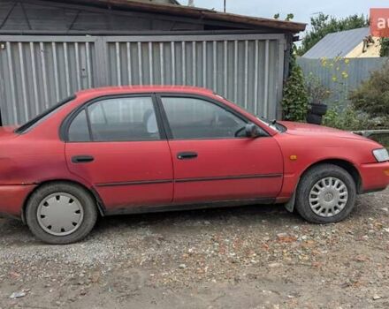 Красный Тойота Королла, объемом двигателя 1.3 л и пробегом 400 тыс. км за 2000 $, фото 1 на Automoto.ua