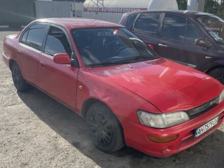Тойота Королла 1992 у Миргороде на Automoto.ua Червоний Тойота Королла, об'ємом двигуна 1.3 л та пробігом 3 тис. км за 1250 $, фото 1 на Automoto.ua