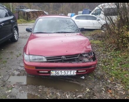 Красный Тойота Королла, объемом двигателя 0 л и пробегом 189 тыс. км за 650 $, фото 1 на Automoto.ua