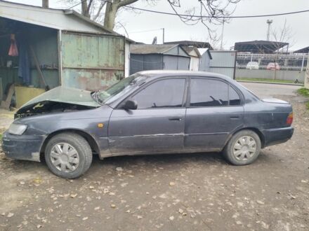 Серый Тойота Королла, объемом двигателя 1.3 л и пробегом 250 тыс. км за 500 $, фото 1 на Automoto.ua