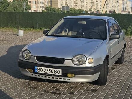 Тойота Королла 1998 у Києві на Automoto.ua Сірий Тойота Королла, об'ємом двигуна 1.59 л та пробігом 206 тис. км за 2800 $, фото 1 на Automoto.ua