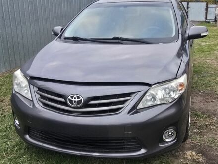 Тойота Королла 2011 в Полтаве на Automoto.ua Серый Тойота Королла, объемом двигателя 1.3 л и пробегом 250 тыс. км за 5700 $, фото 1 на Automoto.ua