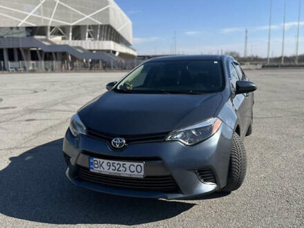 Тойота Королла 2016 в Львове на Automoto.ua Серый Тойота Королла, объемом двигателя 1.8 л и пробегом 104 тыс. км за 12500 $, фото 1 на Automoto.ua