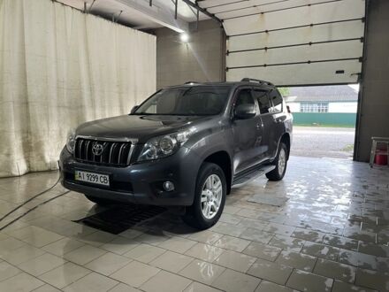 Тойота Ленд Крузер Прадо 150 2010 в Згуровке на Automoto.ua Серый Тойота Ленд Крузер Прадо 150, объемом двигателя 3 л и пробегом 478 тыс. км за 23500 $, фото 1 на Automoto.ua