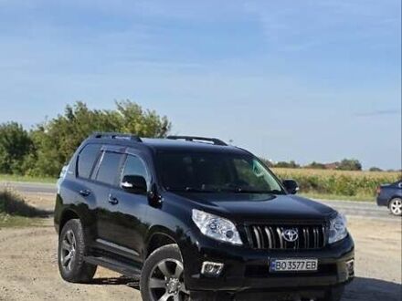 Тойота Ленд Крузер Прадо 2012 в Черткове на Automoto.ua Черный Тойота Ленд Крузер Прадо, объемом двигателя 2.98 л и пробегом 124 тыс. км за 27500 $, фото 1 на Automoto.ua