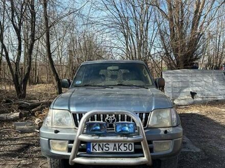 Тойота Ленд Крузер Прадо 1999 в Овруче на Automoto.ua Синий Тойота Ленд Крузер Прадо, объемом двигателя 3 л и пробегом 310 тыс. км за 6500 $, фото 1 на Automoto.ua
