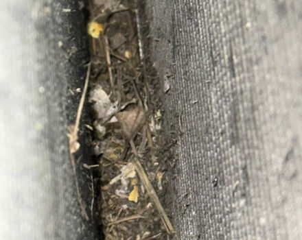 Серый Тойота Приус, объемом двигателя 1.8 л и пробегом 287 тыс. км за 15000 $, фото 51 на Automoto.ua