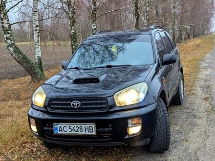 Тойота РАВ 4 2001 в Любомль на Automoto.ua Черный Тойота РАВ 4, объемом двигателя 2 л и пробегом 276 тыс. км за 6000 $, фото 1 на Automoto.ua