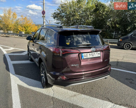 Фиолетовый Тойота РАВ 4, объемом двигателя 2.5 л и пробегом 57 тыс. км за 21500 $, фото 3 на Automoto.ua