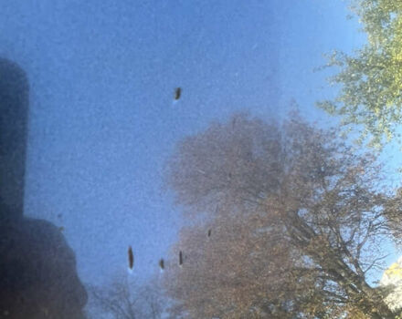 Серый Тойота РАВ 4, объемом двигателя 2.49 л и пробегом 112 тыс. км за 17000 $, фото 47 на Automoto.ua