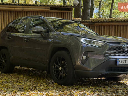 Сірий Тойота РАВ 4, об'ємом двигуна 2.49 л та пробігом 120 тис. км за 35600 $, фото 1 на Automoto.ua