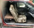Червоний Тойота Такома, об'ємом двигуна 2.7 л та пробігом 132 тис. км за 22300 $, фото 14 на Automoto.ua