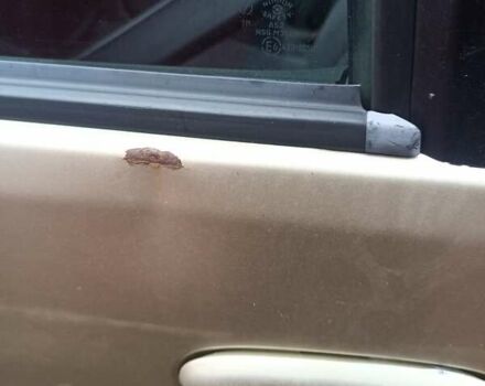 Бежевий Тойота Яріс Версо, об'ємом двигуна 1.3 л та пробігом 495 тис. км за 2500 $, фото 2 на Automoto.ua