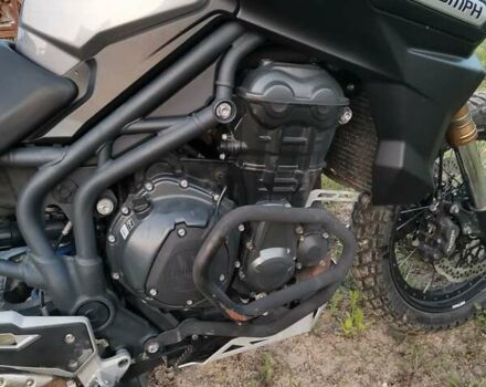 Триумф Тигр, объемом двигателя 1.2 л и пробегом 60 тыс. км за 8200 $, фото 11 на Automoto.ua