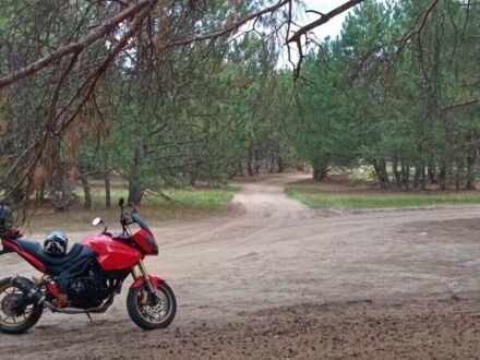 Синий Триумф Тигр, объемом двигателя 1 л и пробегом 30 тыс. км за 3500 $, фото 1 на Automoto.ua