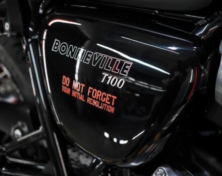 Тріумф Інша 2020 у Дніпро (Дніпропетровську) на Automoto.ua Тріумф Інша, об'ємом двигуна 0.9 л та пробігом 0 тис. км за 11000 $, фото 8 на Automoto.ua