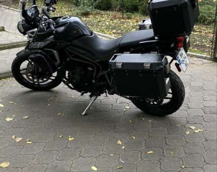 Триумф Другая, объемом двигателя 0.8 л и пробегом 0 тыс. км за 10000 $, фото 3 на Automoto.ua