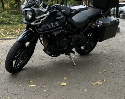 Триумф Другая, объемом двигателя 0.8 л и пробегом 0 тыс. км за 10000 $, фото 2 на Automoto.ua