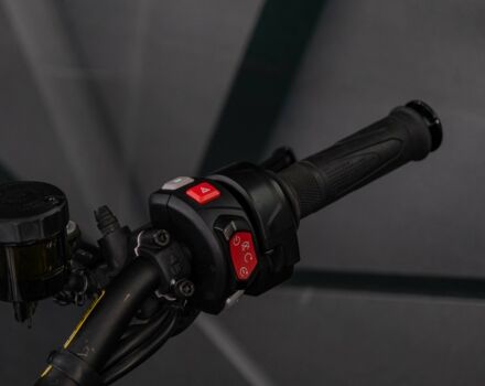 Тріумф Інша, об'ємом двигуна 1.2 л та пробігом 0 тис. км за 15200 $, фото 18 на Automoto.ua