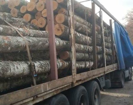 Сірий Троуілет СТ, об'ємом двигуна 0 л та пробігом 357 тис. км за 4300 $, фото 3 на Automoto.ua