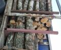 Сірий Троуілет СТ, об'ємом двигуна 0 л та пробігом 357 тис. км за 4300 $, фото 9 на Automoto.ua