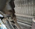 Зеленый УАЗ 2206, объемом двигателя 2.4 л и пробегом 100 тыс. км за 2400 $, фото 2 на Automoto.ua