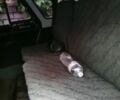 Білий УАЗ 31519, об'ємом двигуна 3 л та пробігом 270 тис. км за 3000 $, фото 18 на Automoto.ua