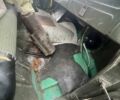 Зеленый УАЗ 452 груз., объемом двигателя 4.1 л и пробегом 60 тыс. км за 2899 $, фото 17 на Automoto.ua