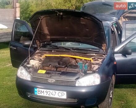 Синій ВАЗ 1117 Калина, об'ємом двигуна 1.6 л та пробігом 180 тис. км за 3300 $, фото 15 на Automoto.ua