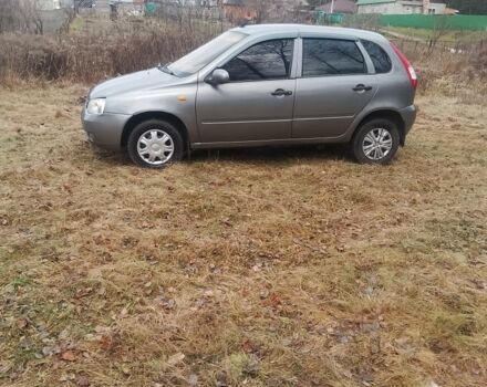 Серый ВАЗ 1119 Калина, объемом двигателя 1.6 л и пробегом 183 тыс. км за 1300 $, фото 9 на Automoto.ua