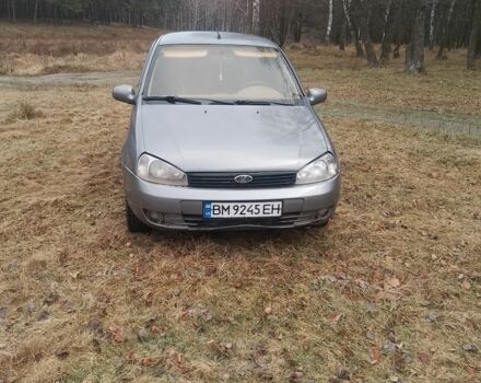 Серый ВАЗ 1119 Калина, объемом двигателя 1.6 л и пробегом 183 тыс. км за 1300 $, фото 5 на Automoto.ua