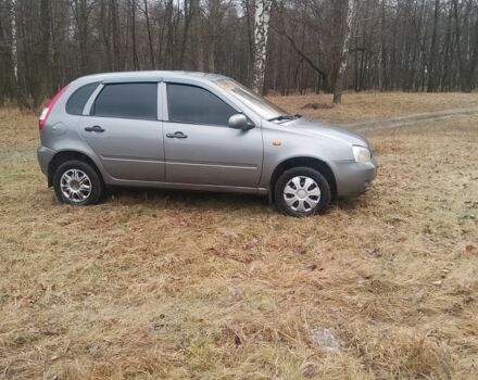 Серый ВАЗ 1119 Калина, объемом двигателя 1.6 л и пробегом 183 тыс. км за 1300 $, фото 4 на Automoto.ua