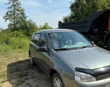 Сірий ВАЗ 1119 Калина, об'ємом двигуна 1.6 л та пробігом 3 тис. км за 2000 $, фото 6 на Automoto.ua