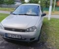 Сірий ВАЗ 1119 Калина, об'ємом двигуна 1.6 л та пробігом 92 тис. км за 2800 $, фото 1 на Automoto.ua