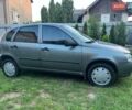Серый ВАЗ 1119 Калина, объемом двигателя 1.4 л и пробегом 160 тыс. км за 3000 $, фото 9 на Automoto.ua