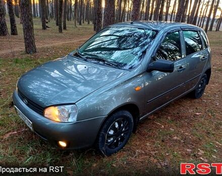 Сірий ВАЗ 1119 Калина, об'ємом двигуна 1.6 л та пробігом 116 тис. км за 3500 $, фото 1 на Automoto.ua