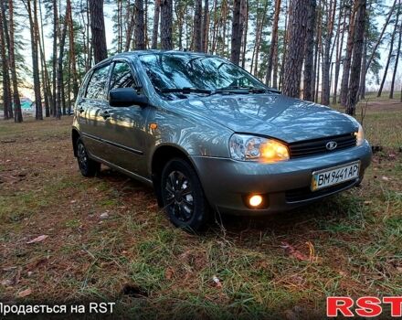 Сірий ВАЗ 1119 Калина, об'ємом двигуна 1.6 л та пробігом 116 тис. км за 3500 $, фото 2 на Automoto.ua