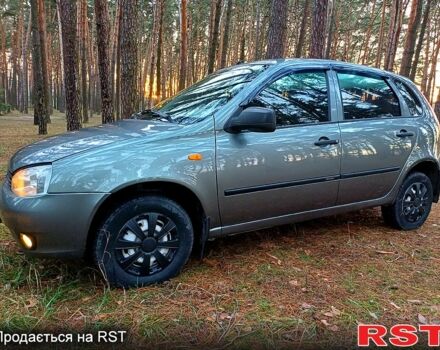 Сірий ВАЗ 1119 Калина, об'ємом двигуна 1.6 л та пробігом 116 тис. км за 3500 $, фото 13 на Automoto.ua