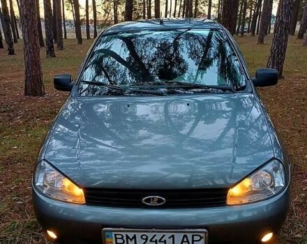 Серый ВАЗ 1119 Калина, объемом двигателя 1.6 л и пробегом 116 тыс. км за 3500 $, фото 13 на Automoto.ua