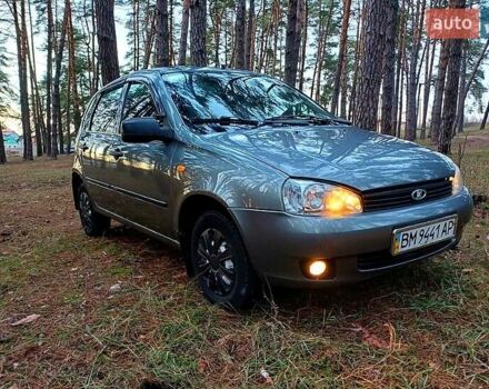 Серый ВАЗ 1119 Калина, объемом двигателя 1.6 л и пробегом 116 тыс. км за 3500 $, фото 1 на Automoto.ua